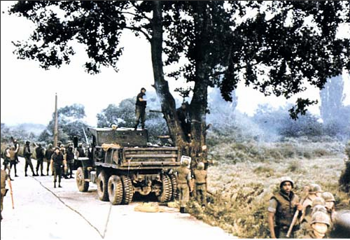 If A Tree Falls In The Demilitarized Zone Operation Paul Bunyan Pits A 